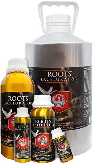 House & Garden Roots Excelurator - Image 2