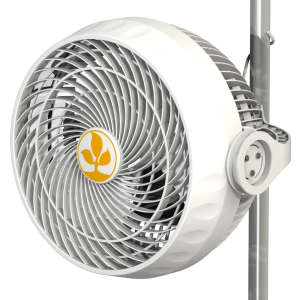 Secret Jardin Monkey Fan 30w
