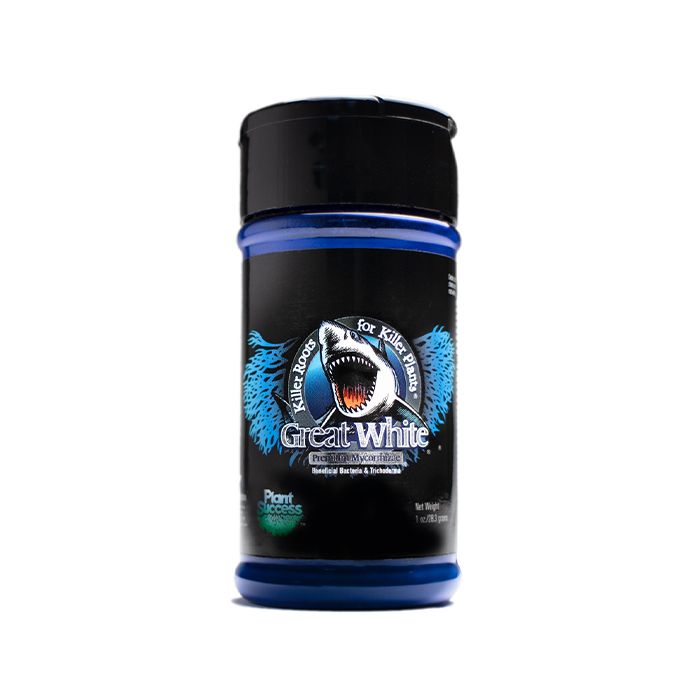 Great White Mycorrhizae - Image 3