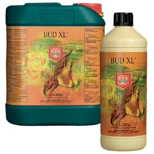House & Garden Bud XL