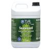 GHE - Terra Aquatica Seaweed - Image 2