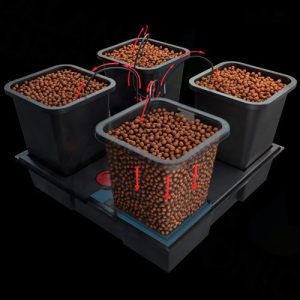 Alternative view of Origin Small Wide 10 Pot 6L (120cm x 60cm) (Formerly Wilma)
