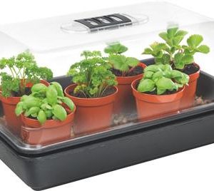 Medium Stewart Propagator Heated