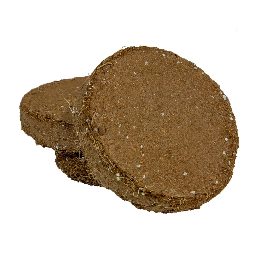 ROOT!T Potting Biscuit (Pack of 20)