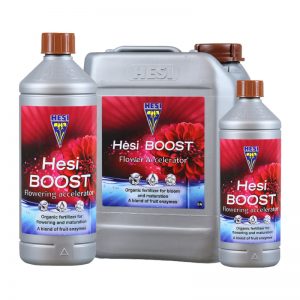 Hesi Boost