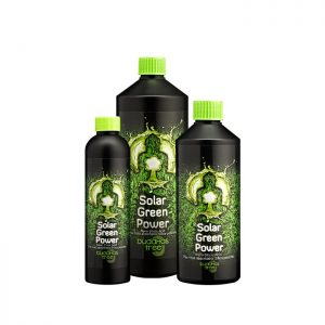 Buddhas Tree Solar Green Power