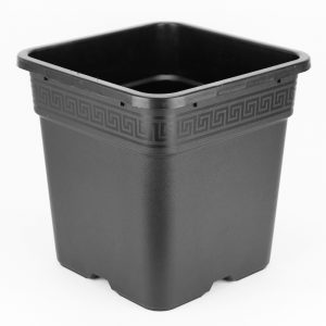 Square Pots (Used For Origin Systems, Formerly Wilma)
