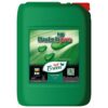 Dutch Pro Leaf Green - Image 2