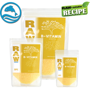 RAW B-Vitamin