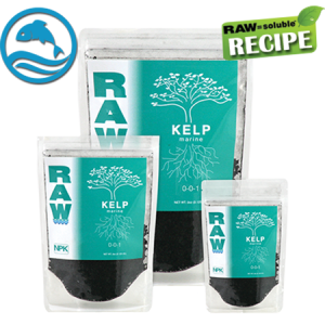 RAW Kelp