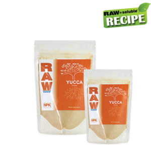 RAW Yucca