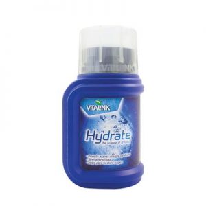 VitaLink Hydrate