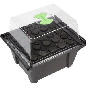 Alternative view of X-Stream Aeroponic Propagators