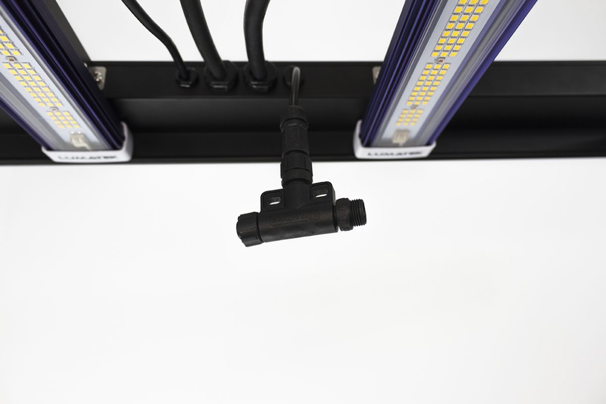 Lampada LED Lumatek Zeus 600w 2.9 PRO Usata Con Scatola Originale