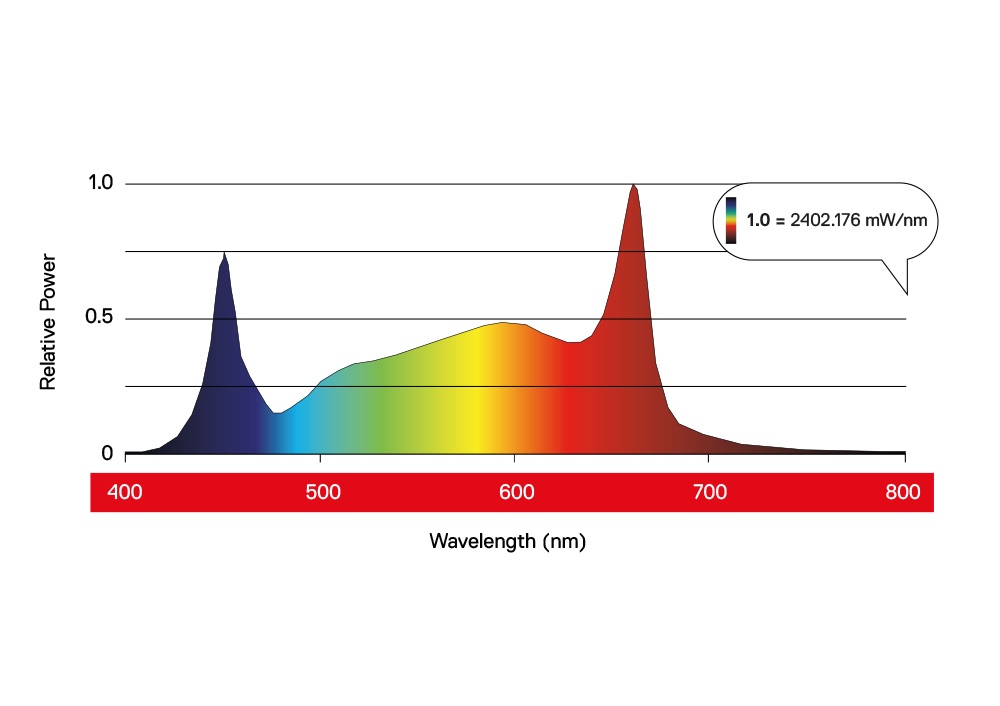 Maxibright Daylight 480w Pro LED - Image 3