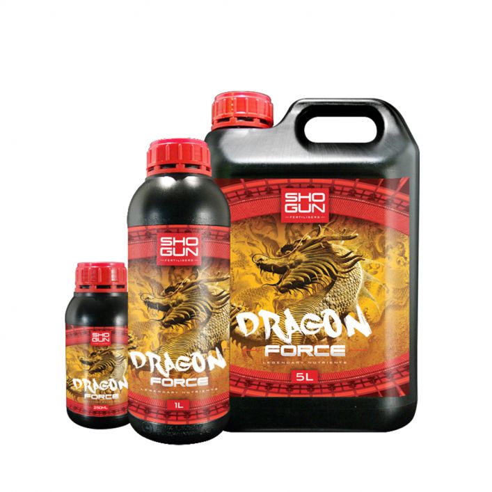 Shogun Dragon Force