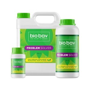 BioBav Problem Solver