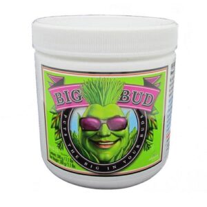 Big Bud Powder