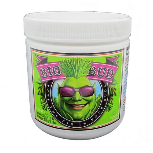 Big Bud Powder