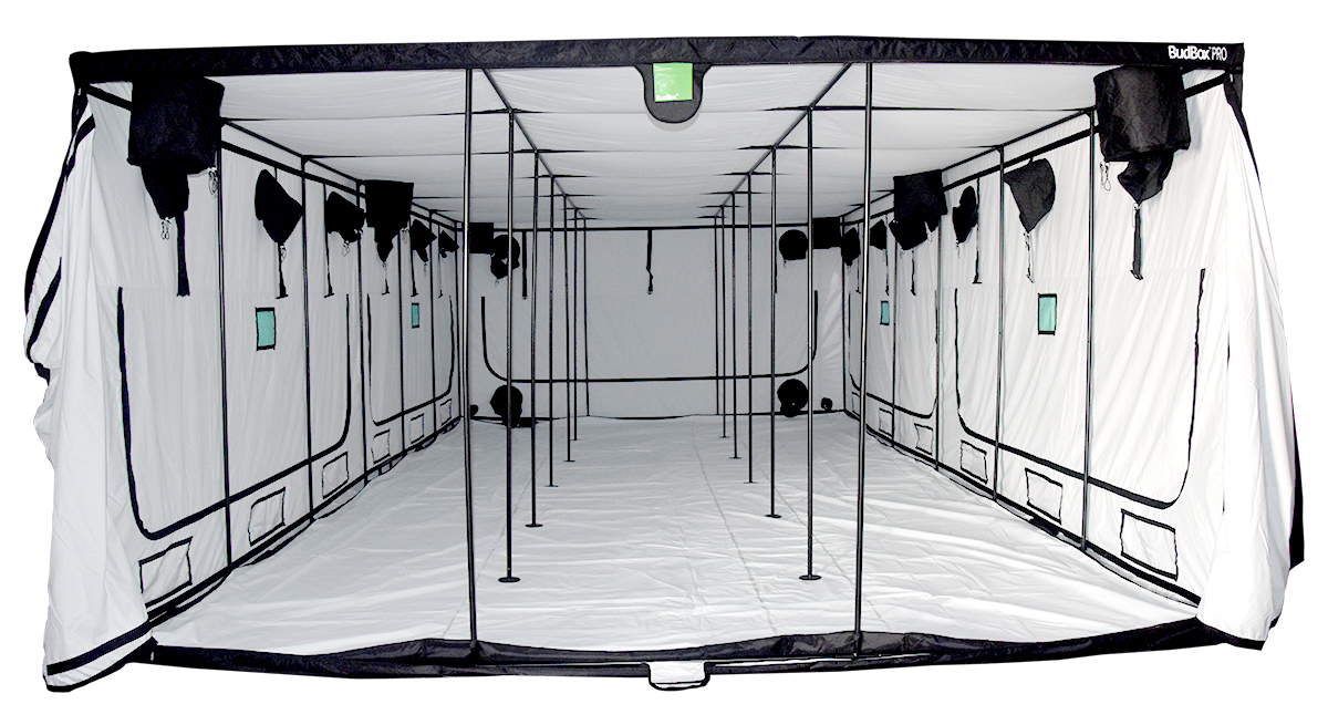 Budbox Pro Titan 9 - 9.0m x 4.5m x 2.4m Grow Tent - Image 3
